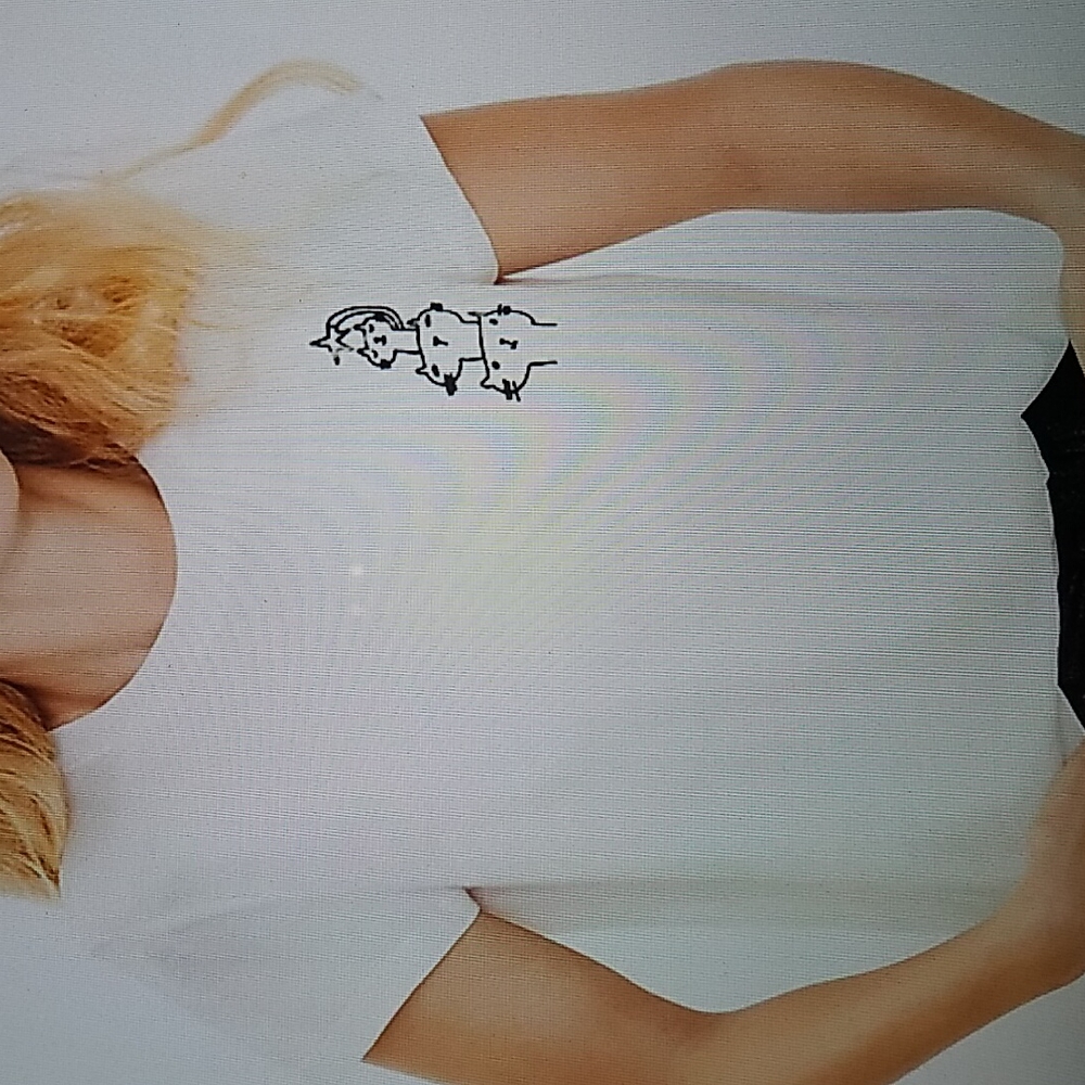 NWT Loft Tee
